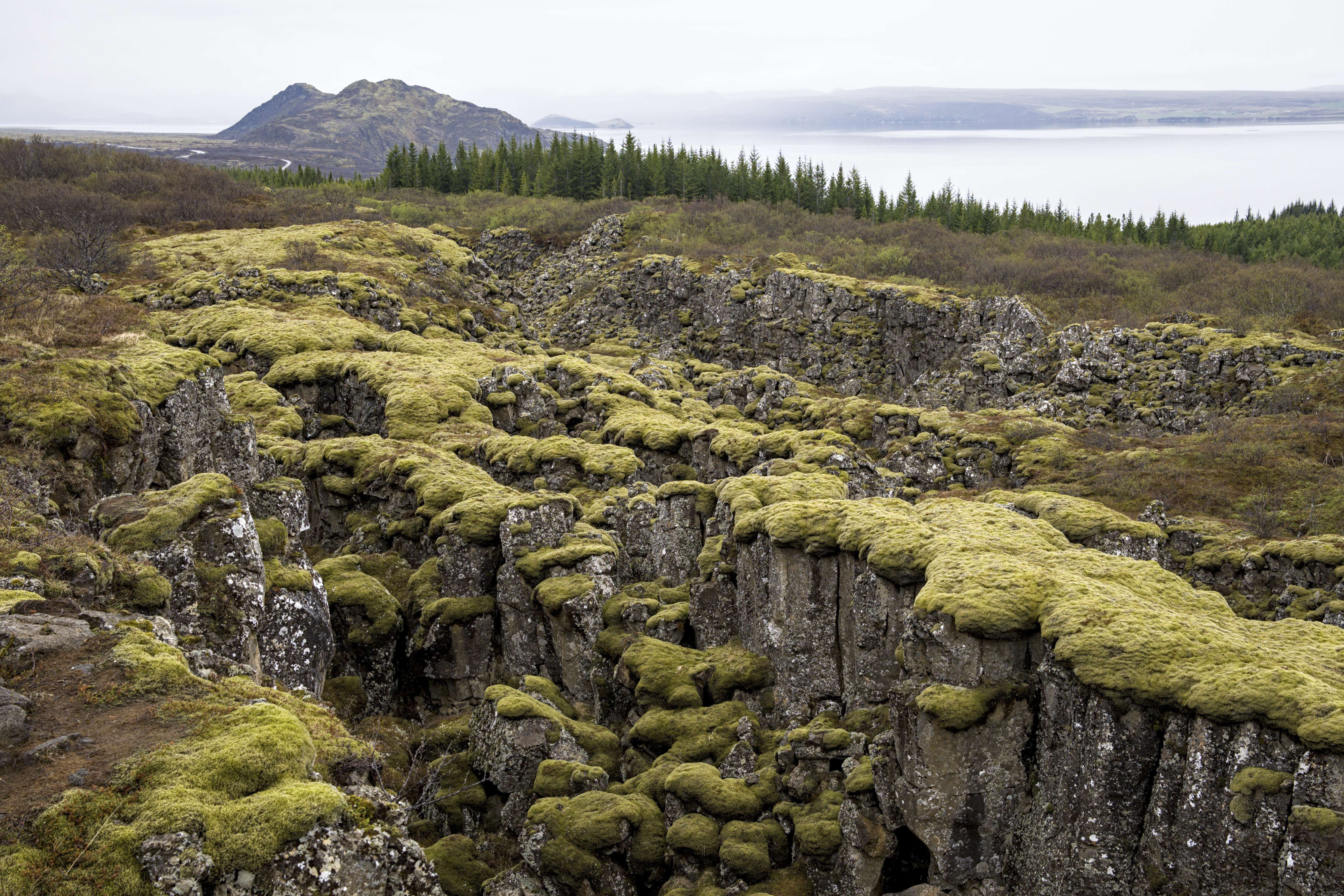 Nationalpark Þingvellir 